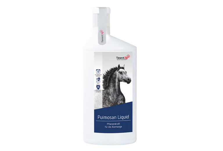 Immunsystem Pferd – so kannst Du es stärken! I ehorses Magazin