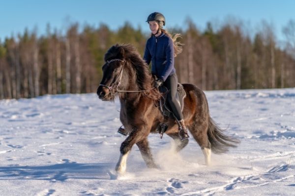 Islandpferd und Reiterin im Schnee