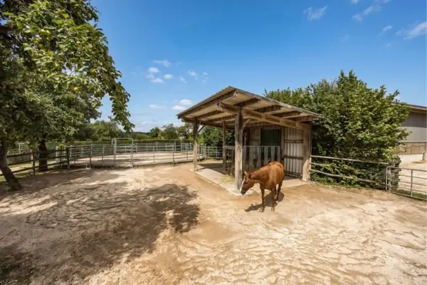 Außenaufnahme eines Paddock-Bereichs mit hellem Sandboden, auf dem ein braunes Pferd neben einem offenen Holz-Unterstand steht. Im Hintergrund ist ein kreisrunder Reitplatz (Roundpen) mit Metallgitterumzäunung zu sehen, umgeben von grünen Bäumen unter sonnigem, leicht bewölktem Himmel.