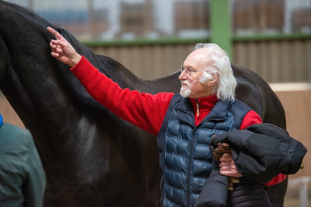Klaus Schöneich neben einem schwarzen Pferd.