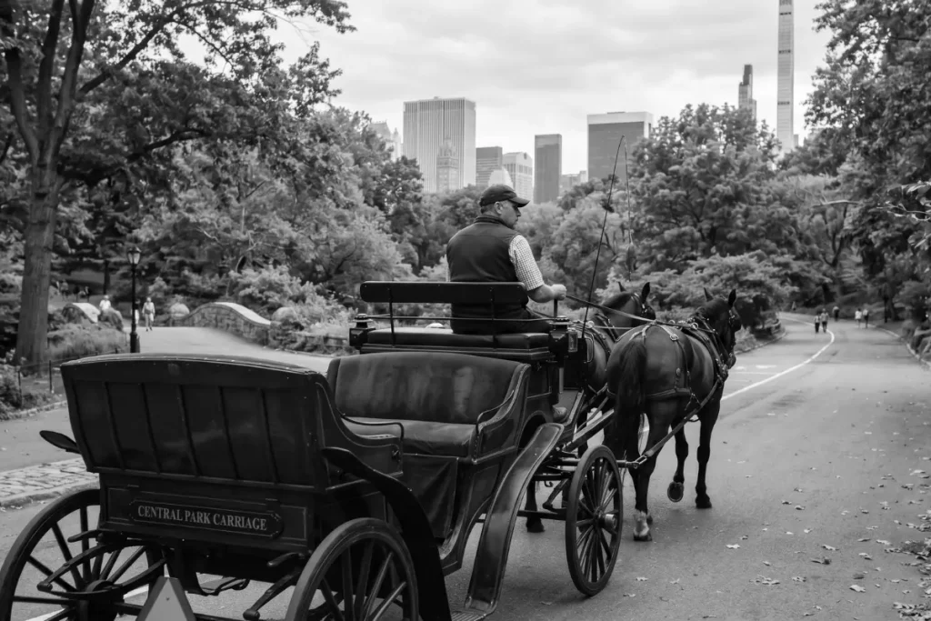Eine Pferdekutsche aus Holz mit leeren, grün gepolsterten Passagiersitzen fährt von hinten fotografiert auf einer asphaltierten Straße durch den sommerlichen Central Park in New York. Vorne auf dem Kutschbock sitzt ein Kutscher mit Weste, Hemd und Kappe, der den Blick zur Seite wendet. Gezogen wird die Kutsche von zwei braunen Pferden. Die Atmosphäre ist durch einen bewölkten, hellen Himmel leicht bedrückt, aber taghell. Im Hintergrund ragen die Wolkenkratzer der New Yorker Skyline hinter dichten, grünen Parkbäumen empor.