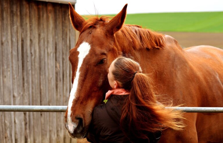 11 Dinge, die Pferde uns lehren wollen!