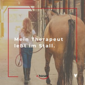 Die 100 schönsten Pferdesprüche mit Bildern ehorses