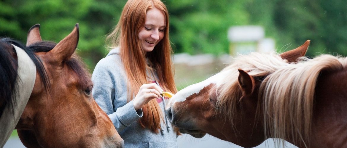 Mädchen füttert zwei Pferde