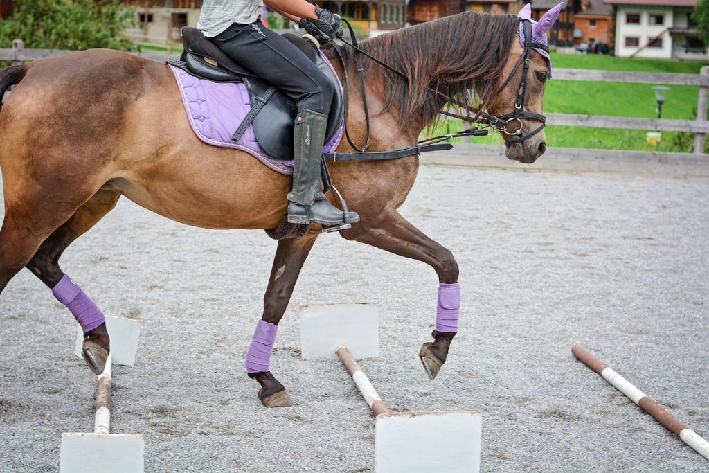 Mädchen reitet über Trabstangen (Cavaletti).