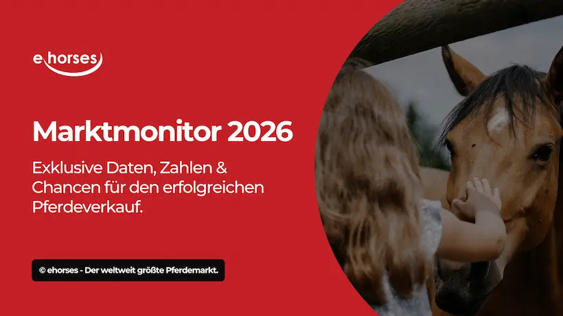 Marktmonitor 2026: Exklusive Daten, Zahlen & Chancen für den erfolgreichen Pferdeverkauf.