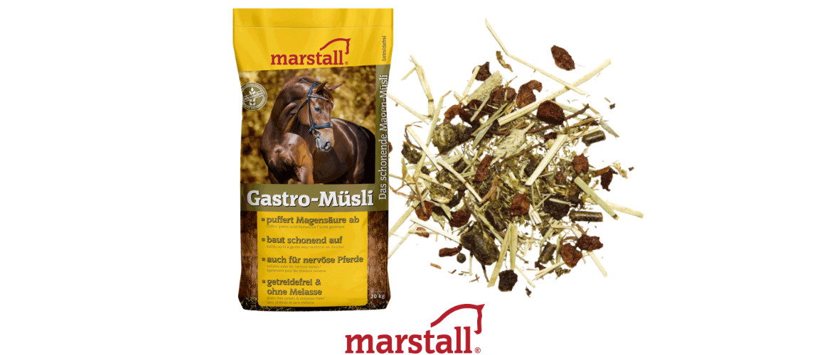 Erfahrungen mit dem marstall Gastro-Müsli