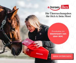ehorses Box