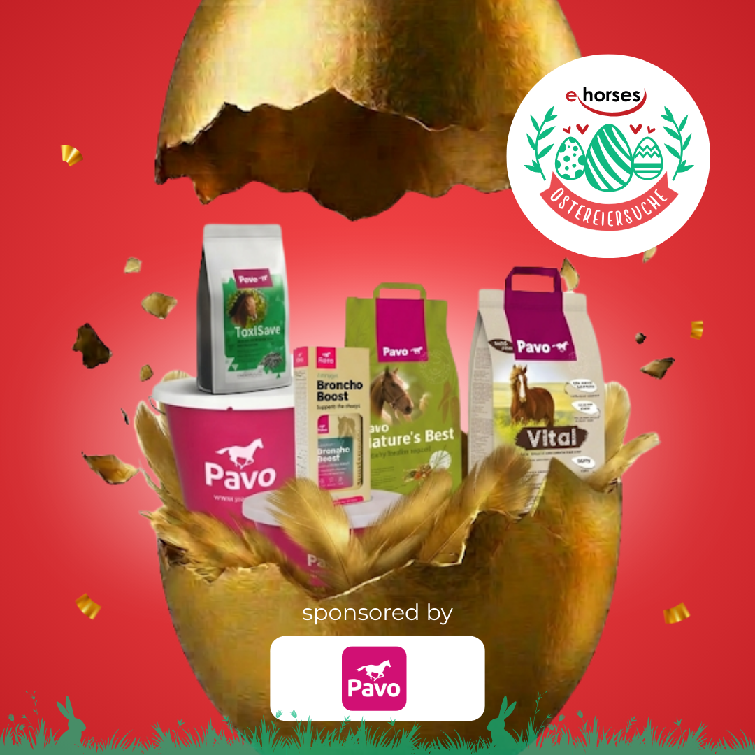 Gewinn bei der ehorses Ostereiersuche
