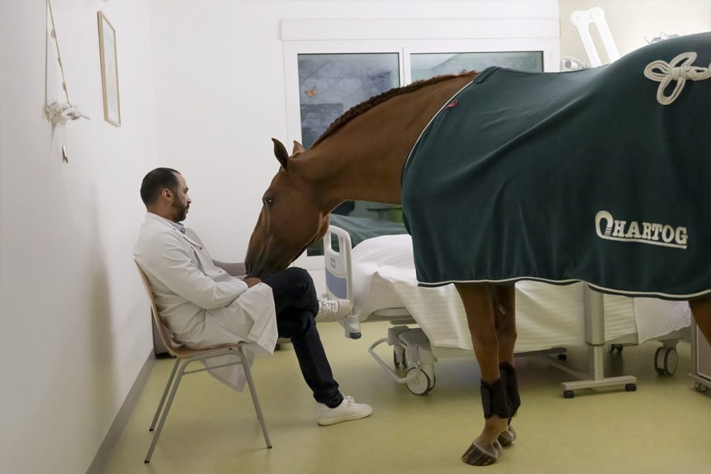 Ein Arzt mit Pferd Dr. Peyo am Bett eines Krankenhauspatienten.