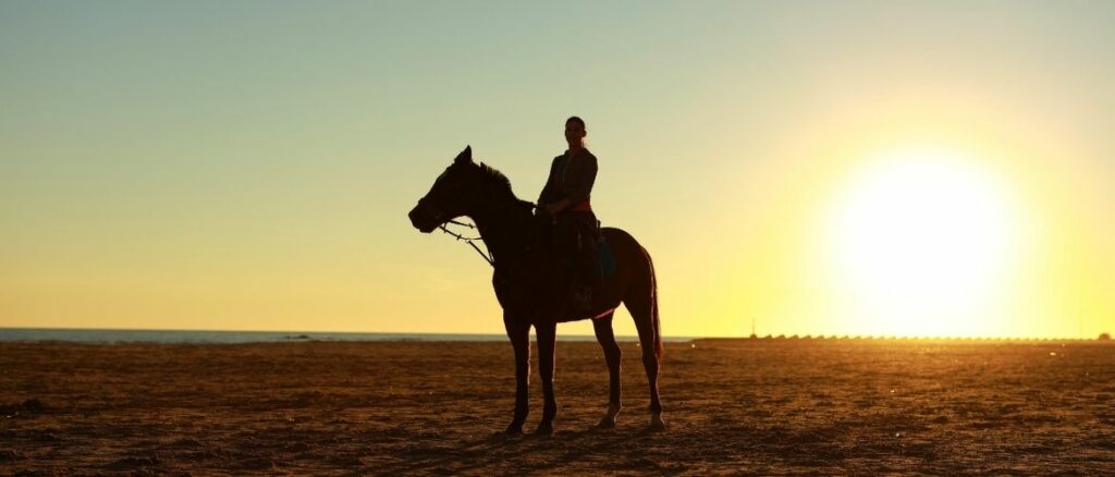 Reiter und Pferd stehen vor einem Sonnenuntergang.