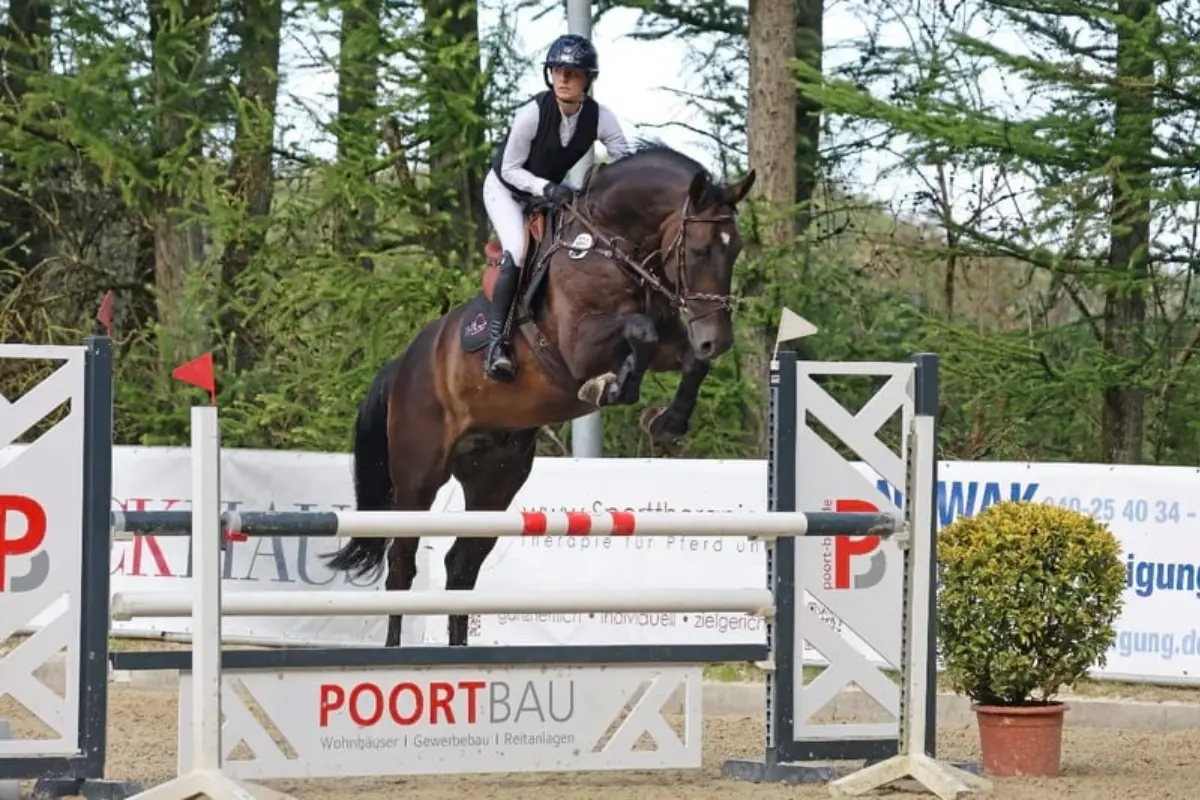 S*-Sieger · CSI1* · Amateurgeeignet Springt in einer Turniersituation über ein Hindernis