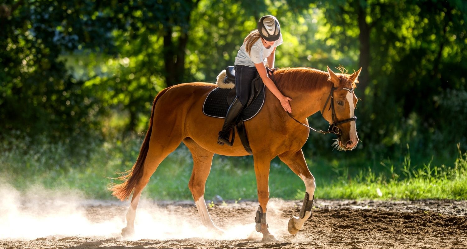 Junge Frau reitet Pferd ein