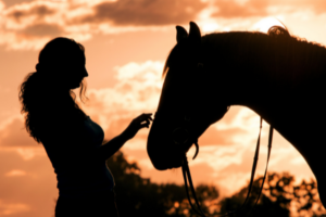 Pferd Einschläfern Erfahrungen