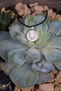 pferd-einschlaefern-schmuck