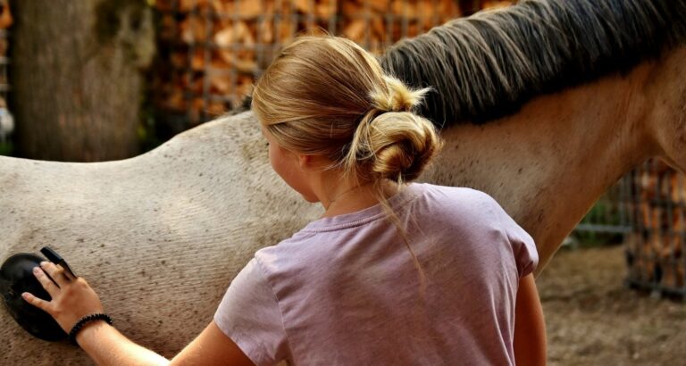Frau pflegt Pferd mit Apfelessig und mehr
