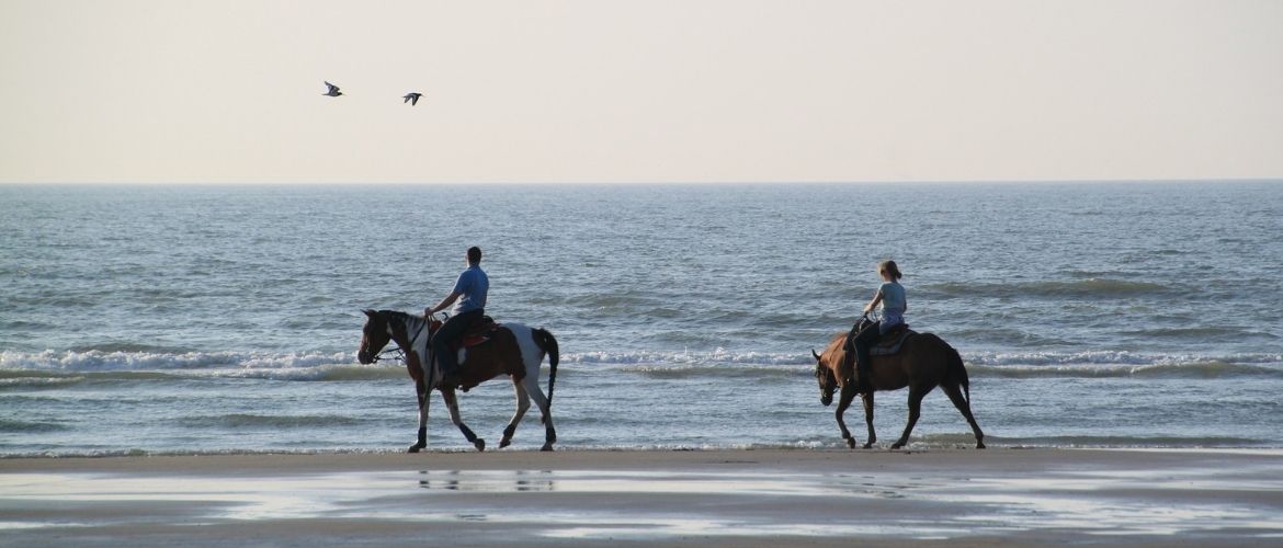 Urlaub mit Pferd: Pferde am Strand