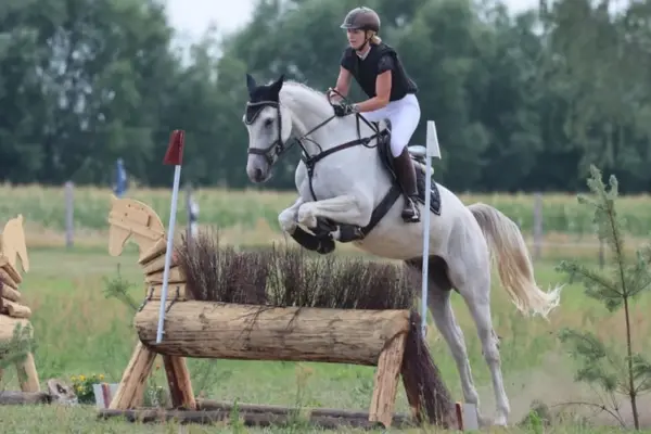 Das Deutsche Sportpferd beim Sprung über ein festes Hindernis aus einem massiven Holzstamm mit Reisig-Aufsatz (Brush). Das Pferd zeigt eine hervorragende Manier über dem Sprung. Im Hintergrund erstreckt sich die weite Landschaft der Geländestrecke unter bewölktem Himmel.