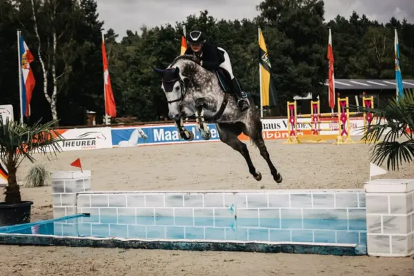 Ein apfelgrauer Holsteiner im vollen Sprung über einen weiten Wassergraben auf einem Außenturnierplatz. Das Pferd trägt eine dunkle Ohrenhaube; die Reiterin sitzt im balancierten Springsitz. Im Hintergrund wehen verschiedene Flaggen vor einer Kulisse aus grünen Bäumen.
