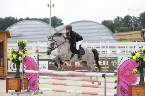 Ein Schimmel (Polnisches Sportpferd) im vollen Sprung über ein auffälliges, rosa-weißes Hindernis mit großen Schmetterlingsflügeln an den Seiten. Die Reiterin trägt ein dunkles Turniersakko und einen Helm. Die Szene ist auf einem Außenplatz während eines Springturniers aufgenommen.