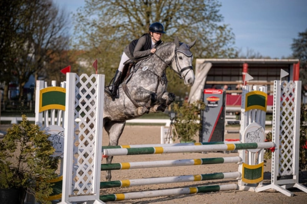 Dynamische Aufnahme der Schimmel-Stute beim Überwinden eines grün-gelb gestreiften Steilsprungs. Die Reiterin befindet sich im perfekten Entlastungssitz über dem Sprung. Das Pferd trägt eine graue Fliegenhaube; im Hintergrund erkennt man einen Turnieraussenplatz unter blauem Himmel.