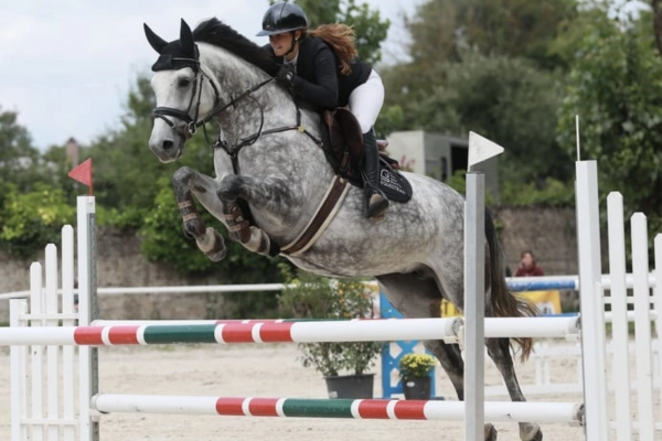 Nahaufnahme eines Schimmels, der souverän ein rot-grün-weißes Hindernis überspringt. Die Reiterin begleitet die Bewegung des Pferdes mit tiefer Konzentration. Man erkennt Details wie die schwarze Ohrenhaube des Pferdes und die Gamaschen an den Vorderbeinen.