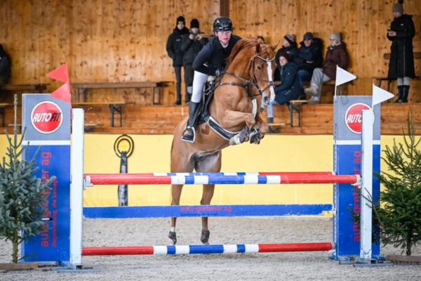 Der Fuchs Fireball beim Springturnier in einer Reithalle. Er überwindet gerade mit viel Schwung ein rot-weiß-blau gestreiftes Hindernis. Die Reiterin in schwarzer Turnierkleidung befindet sich im balancierten Entlastungssitz. Im Hintergrund sind Zuschauer und Werbebanner zu sehen.