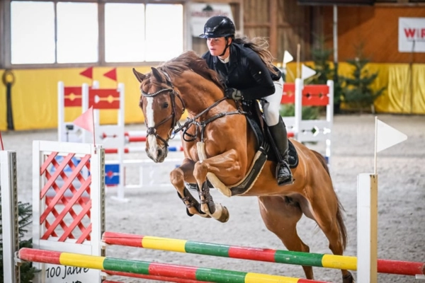 Dynamische Aufnahme von Fireball während eines Sprungs über eine gelb-grün-rote Stange. Die Flugphase zeigt die Kraft und Konzentration des Pferdes. Das Herz-Logo auf der Schulter des Fuchses ist auch hier als markantes Erkennungsmerkmal deutlich sichtbar.