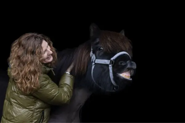 Nahaufnahme eines dunklen Pferdes, das ein lustiges Gesicht macht („Flehmen“) und dabei die Zähne zeigt. Eine Frau mit lockigem Haar steht daneben, lächelt und krault das Pferd am Hals vor einem schwarzen Hintergrund.