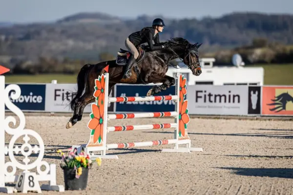 Die Wallach Cari im vollen Sprung über einen Oxer mit markanten, orangefarbenen Seitenteilen in Blumenform. Die Aufnahme fängt die Kraft und Konzentration des Pferdes während eines Springturniers ein. Im Hintergrund sind Werbebanner und eine weitläufige, hügelige Landschaft erkennbar.