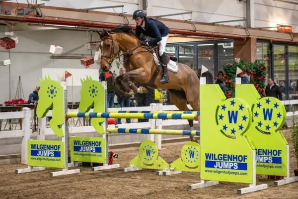 Ein Belgisches Warmblut beim Springreiten in einer Reithalle. Pferd und Reiter überwinden gerade ein Hindernis von „Wilgenhof Jumps“ in einer dynamischen Flugphase. Der Reiter trägt klassische Turnierkleidung, das Pferd zeigt eine hervorragende Manier über den gelb-grünen Sprungelementen.