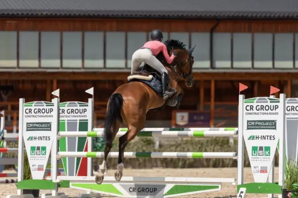 Ein braunes Tschechisches Warmblut (CZEWB) bei einem gewaltigen Sprung über ein grün-weißes Hindernis der „CR Group“. Die Reiterin im korallfarbenen Shirt ist in der Vorwärtsbewegung perfekt mit dem Pferd abgestimmt. Die Aufnahme fängt die Kraft der Hinterhand während der Flugphase auf einem Außenplatz ein.