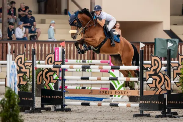 Dynamische Seitenaufnahme eines Tschechischen Warmbluts beim Überwinden eines hohen Steilsprungs von „Horse Portal“. Das braune Pferd trägt eine markante blaue Fliegenhaube und ein helles Nasenschonfell. Man sieht deutlich die fokussierte Anspannung von Pferd und Reiterin während des Turniers.