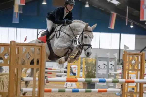 Ein athletischer KWPN-Schimmel beim Springreiten in einer Reithalle. Das Pferd überwindet in einer kraftvollen Flugphase ein Hindernis mit blau-grün-weißen Stangen. Ein Reiter in dunklem Turniersakko führt das Pferd konzentriert über den Sprung.