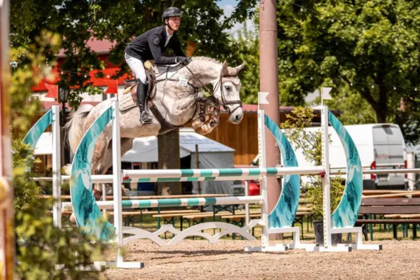 Dynamische Aufnahme des KWPN-Schimmels beim Springen auf einem Außenreitplatz. Das Pferd zeigt eine sehr gute Beintechnik über einem weiß-türkisfarbenen Hindernis. Im Hintergrund sind sommerliche Bäume und ein Turniergelände zu sehen.