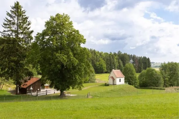 Idyllische ländliche Wiesenlandschaft mit einer kleinen weißen Kapelle auf einer Anhöhe, einer Holzhütte und großen Bäumen vor einer Waldkulisse.