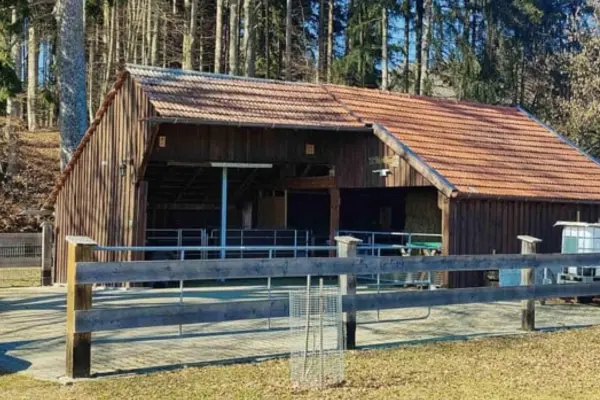 Offener Holzstall mit Ziegeldach, Paddockbereich und Holzzaun vor einem dichten Wald.