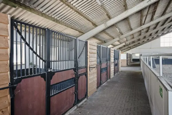 Blick auf die gepflegten Boxenplätze vom luxuriösen Gut Wammen