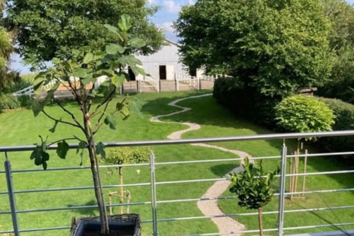 Traumhafte Pferdeimmobilie mit 210m² Wohnhaus