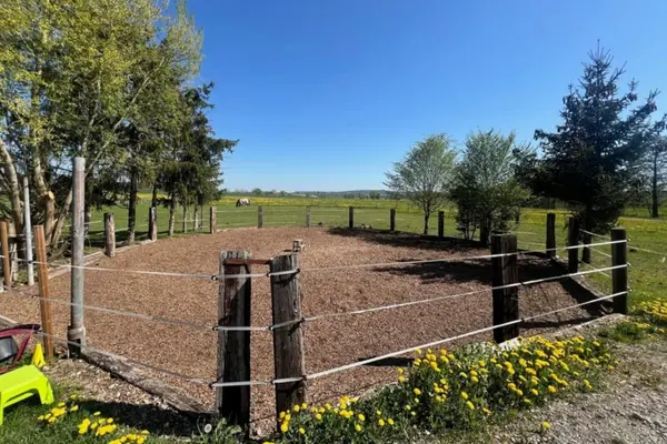 Außenansicht eines gepflegten Paddocks in einer idyllischen Gegend mit viel Weiden bei strahlendem Sonnenschein.