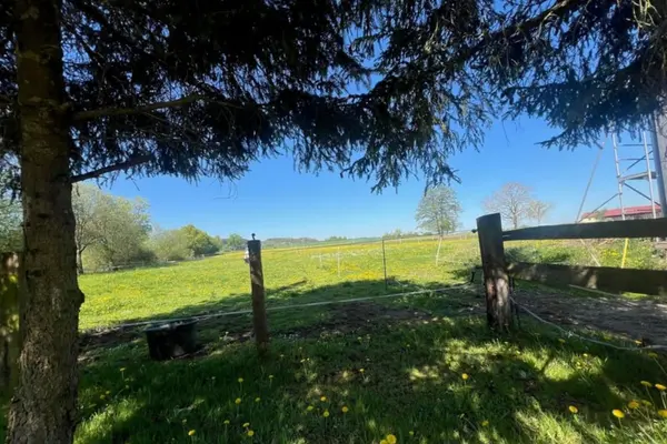 Außenansicht eines gepflegten Paddocks in einer idyllischen Gegend mit viel Weiden bei strahlendem Sonnenschein.