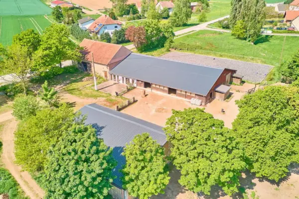 pferdeimmobilien-der-woche-hütschenhausen-010326 (4)