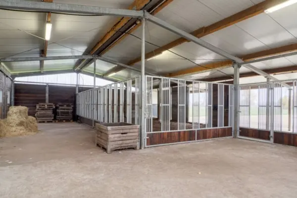 pferdeimmobilien-der-woche-minden-010326 (4)