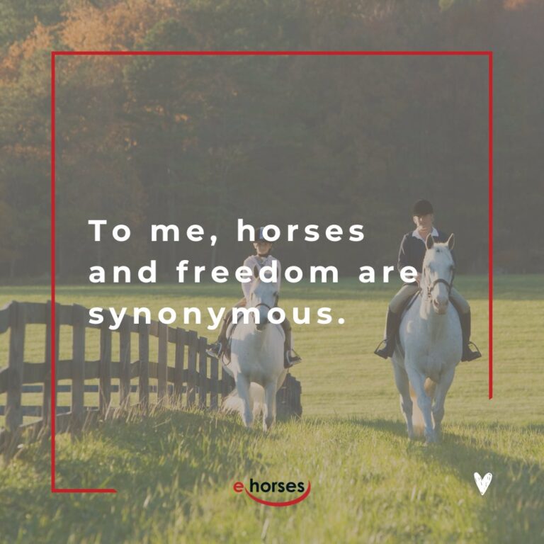 Die 100 schönsten Pferdesprüche mit Bildern ehorses