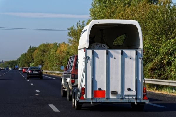 Pferdetransport über Autobahn