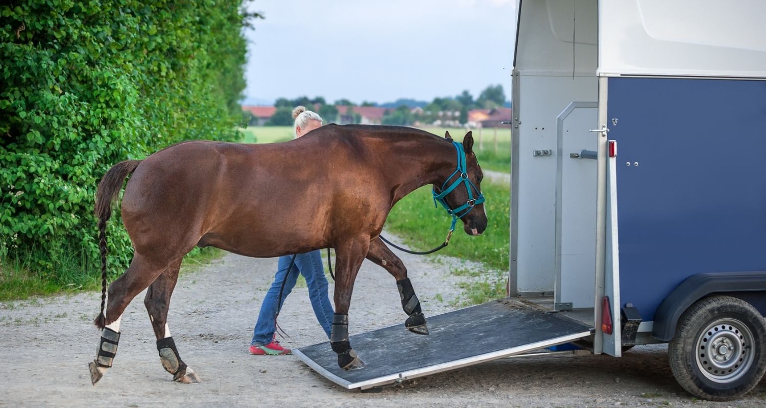 Pferdetransport – Kosten, Planung & Checkliste