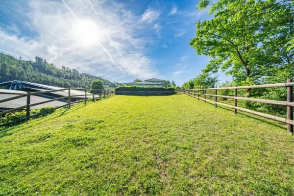 Blick über eine langgezogene, saftig grüne Weidefläche einer Reitanlage in Plettenberg (Sauerland). Die Wiese ist beidseitig von robusten Holzzäunen eingegrenzt. Links hinter dem Zaun sind die dunklen Dächer der Stallungen und Wirtschaftsgebäude zu erkennen, rechts stehen dichte, grüne Bäume und Büsche. Im Hintergrund, am oberen Ende der ansteigenden Koppel, befindet sich ein Wohnhaus hinter einer Hecke. Die Szene ist eingebettet in die hügelige, dicht bewaldete Landschaft des Sauerlandes. Die Aufnahme wurde bei strahlendem Sonnenschein unter einem intensiv blauen Himmel mit feinen Schleierwolken und Gegenlicht aufgenommen.