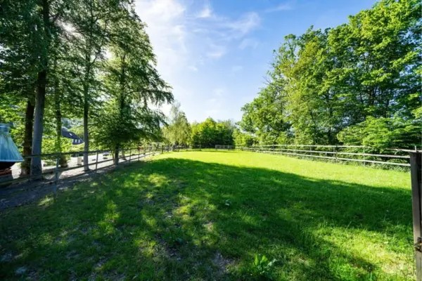 Blick auf eine weitläufige, eingezäunte Weide und Auslauffläche einer Reitanlage in Plettenberg (Sauerland). Die sonnige, grüne Wiese im Zentrum ist von einem durchgehenden Holzzaun umgeben, an den dichte, schattenspende Bäume und ein waldreiches Areal auf beiden Seiten grenzen. Auf der linken Seite sind hinter dem Zaun ein befestigter Weg, ein Gebäude und Unterstände zu erkennen. Die Koppel liegt eingebettet in eine natürliche, idyllische Landschaft unter einem blauen, leicht bewölkten Himmel, während die Vormittagssonne durch die Baumkronen bricht.