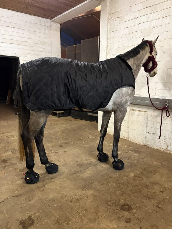 processed-BC53CA4A-7BAF-4C95-AE06-6D20ED7B7EE4