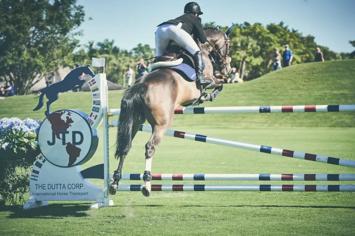 Ein dunkelbraunes Sprigpferd springt mit einem Reiter auf einem Gras-Springplatz über ein Hindernis. Ansicht von hinten